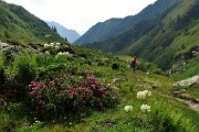 88 In discesa dalla Val Bondione sul sentiero 322